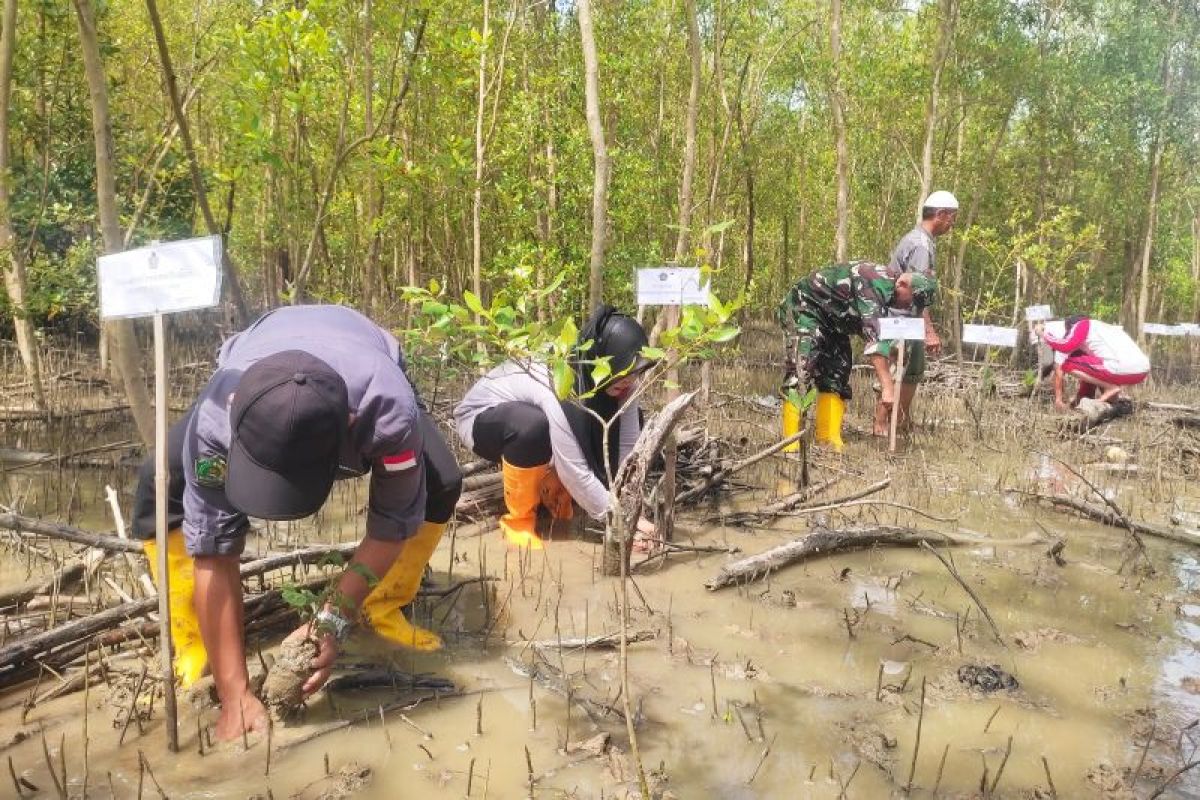 Kemenag Bengkayang Kalbar tanam ratusan mangrove peringati Hari Amal Bakti