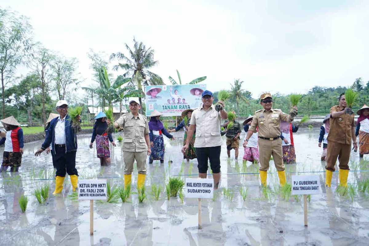 Wamentan ajak petani Lombok maksimalkan masa tanam awal 2025