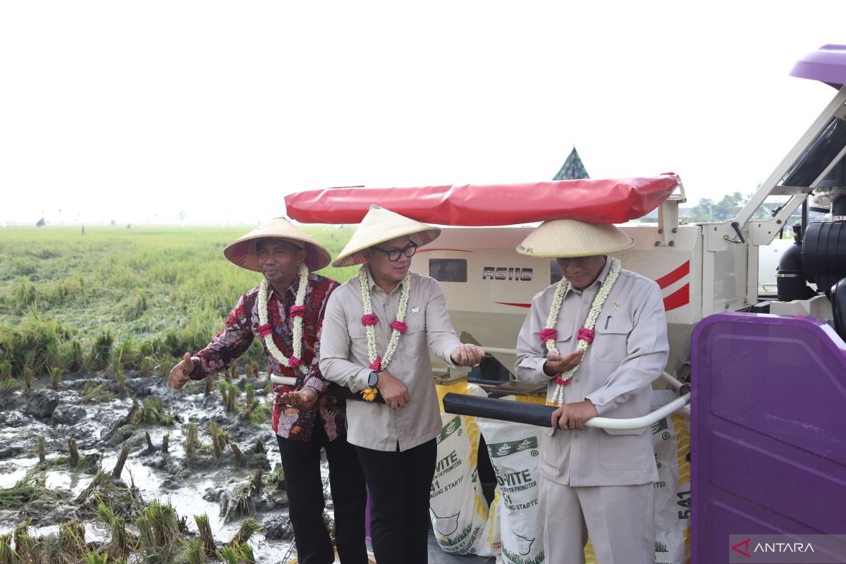 Wamendagri optimistis swasembada pangan dapat terwujud