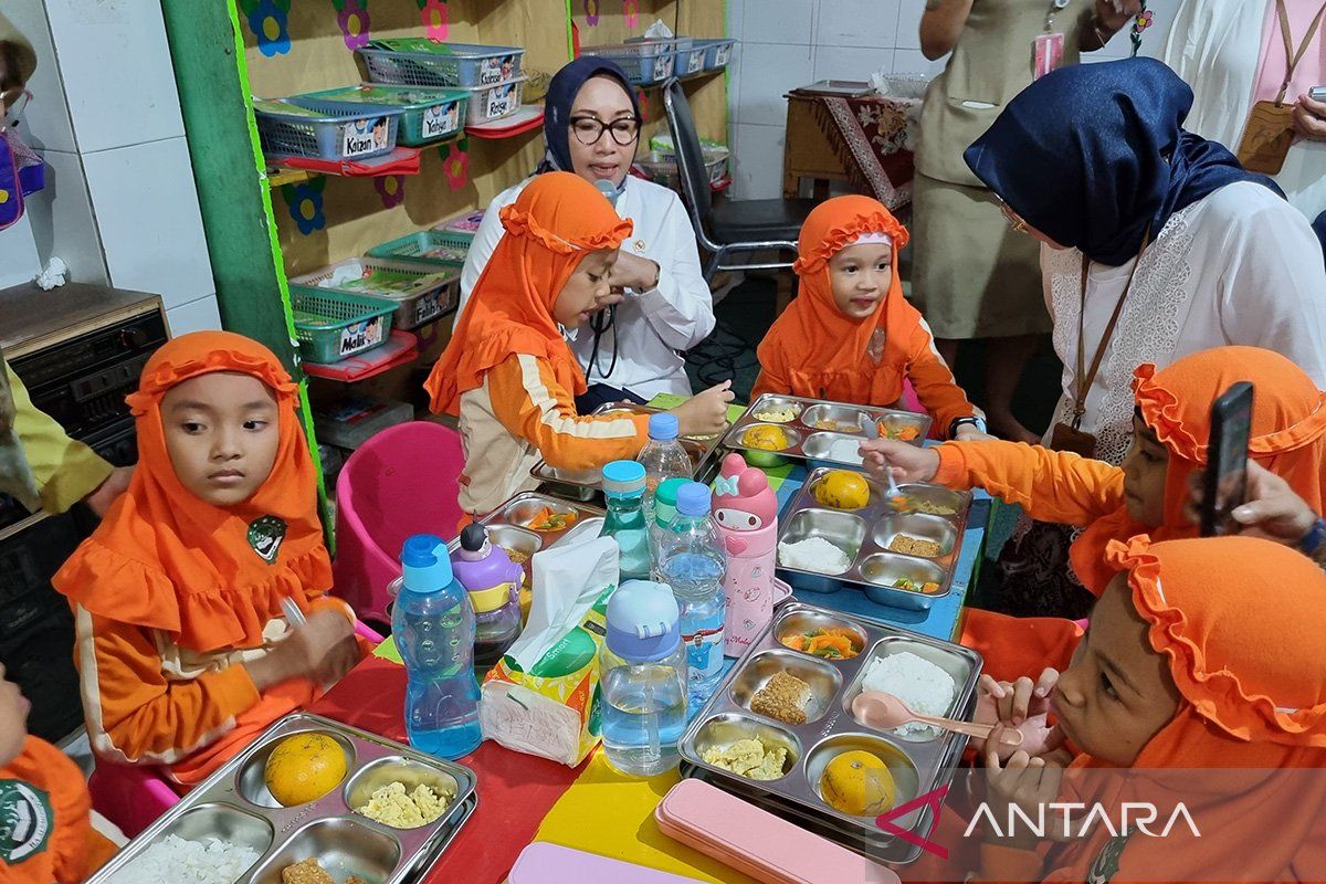 Pengamat usulkan agar MBG untuk ibu hamil ditambah asam folat