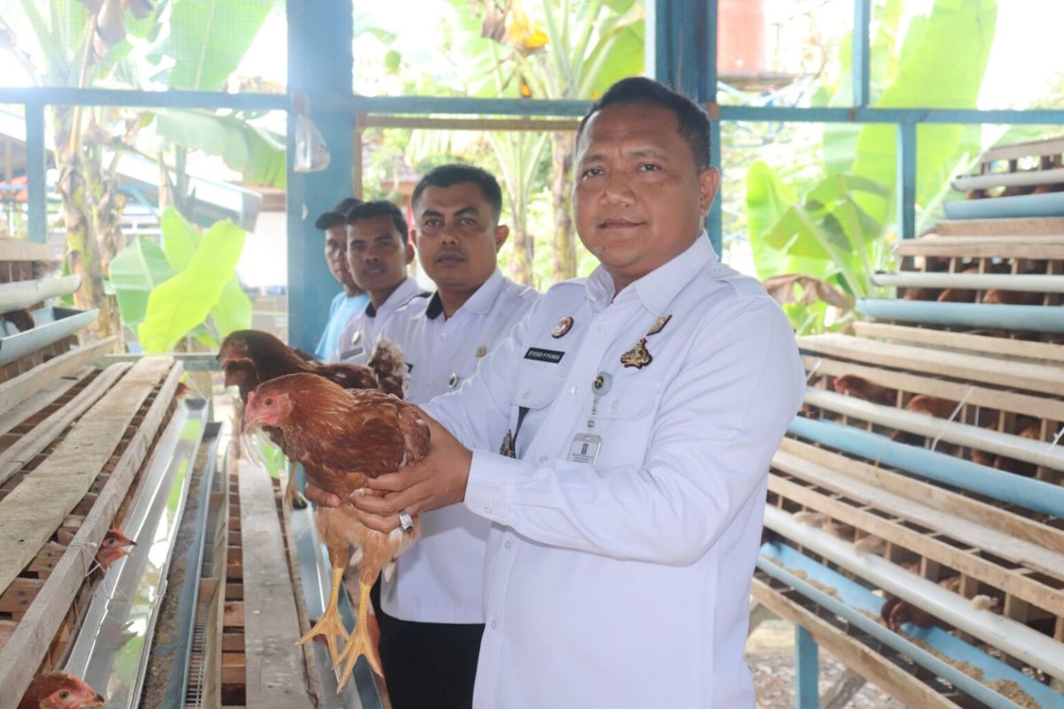 Lapas di Pasir Pangaraian bina WBP beternak ayam petelur