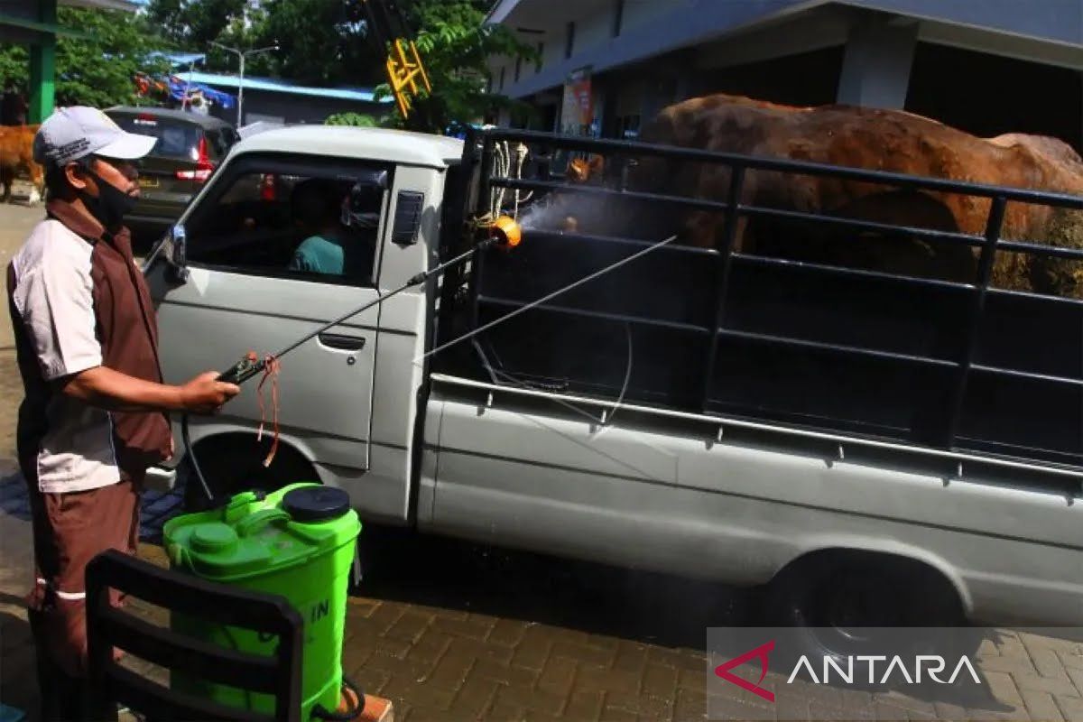 Tanggulangi wabah PMK, Pemkab Malang ambil langkah intensif