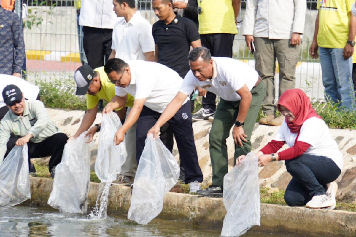 Jaksel bagikan 418.000 benih ikan untuk penuhi gizi masyarakat