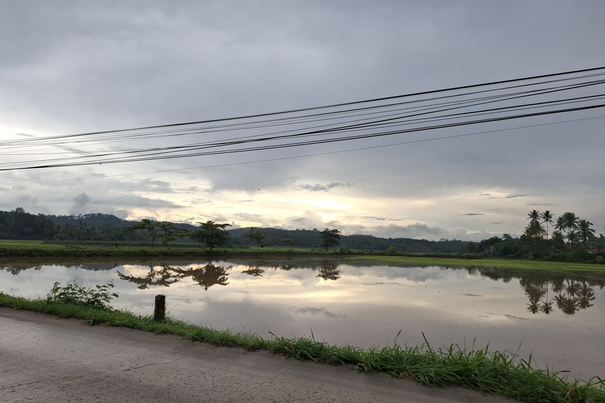 Pemprov Lampung identifikasi lahan bero untuk perluasan tanam padi