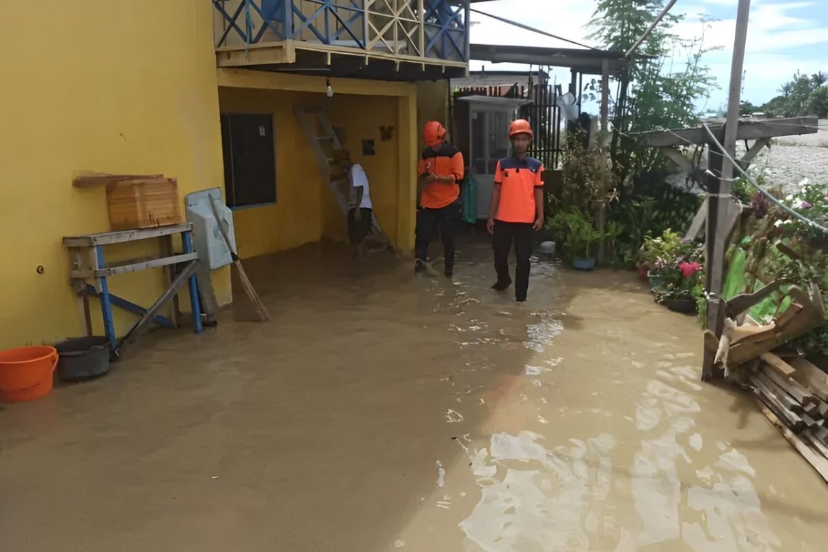 BPBD-Sulteng tangani 196 kejadian bencana hidrometeorologi selama 2024