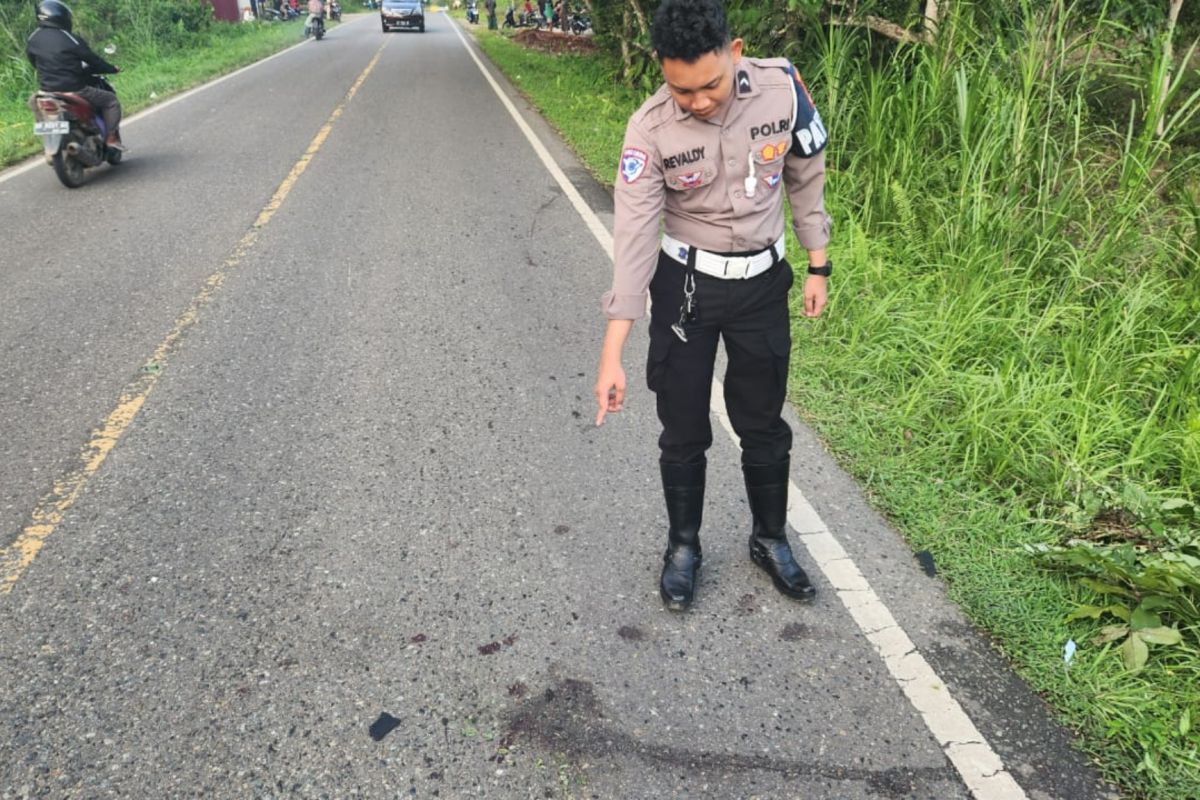 Satu orang tewas, Polres Tabalong olah TKP kecelakaan lalu lintas