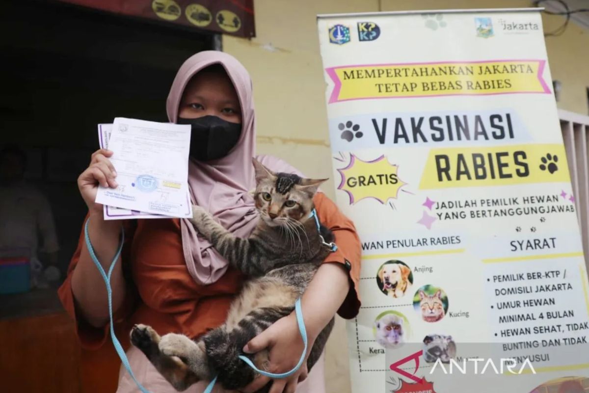 Sepanjang 2024, sebanyak 5.803 hewan penular rabies di Jakpus divaksin