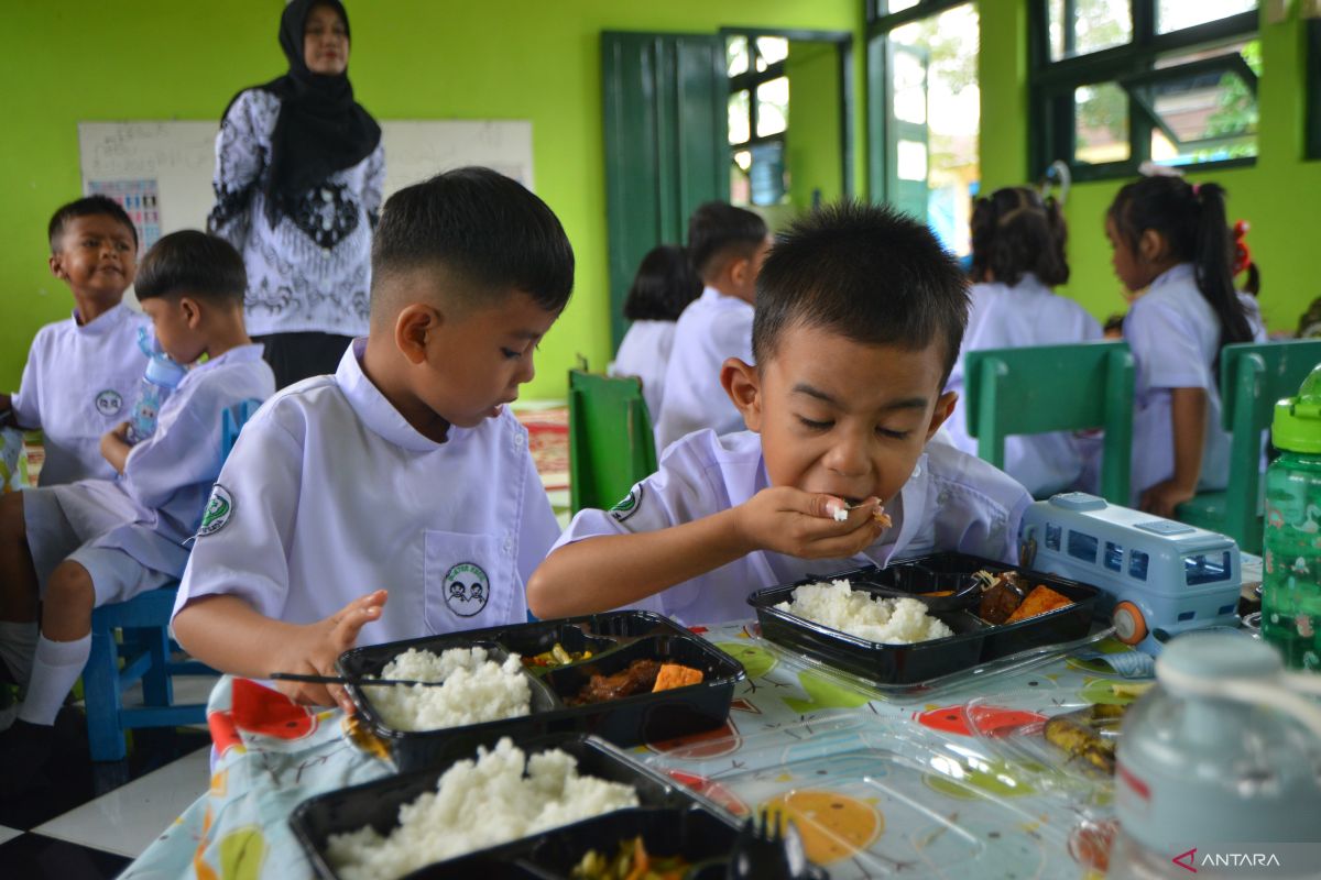 Ahli sebut buah dan sayur penting dalam MBG karena siswa di Indonesia rentan anemia