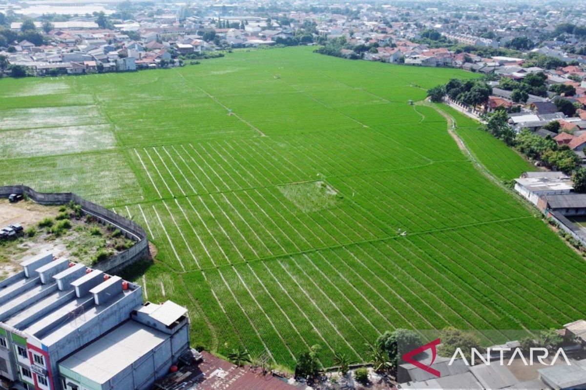 Pemkab Bekasi jalankan sejumlah strategi jaga ketahanan pangan