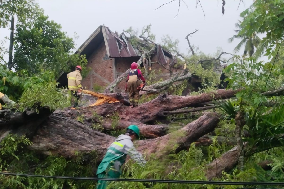 BPBD Aceh Besar imbau warga waspadai banjir