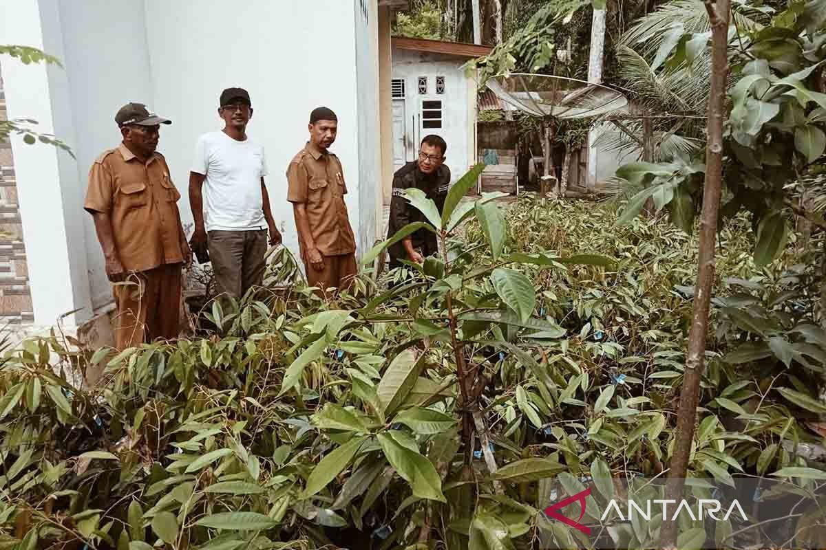 Anggota DPRA salurkan bibit kepada petani perkuat ketahanan pangan