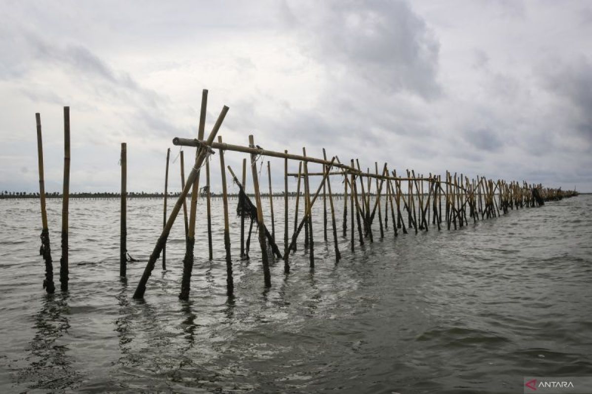 DKP Banten: Klaim pagar laut Tangerang cegah abrasi perlu dibuktikan