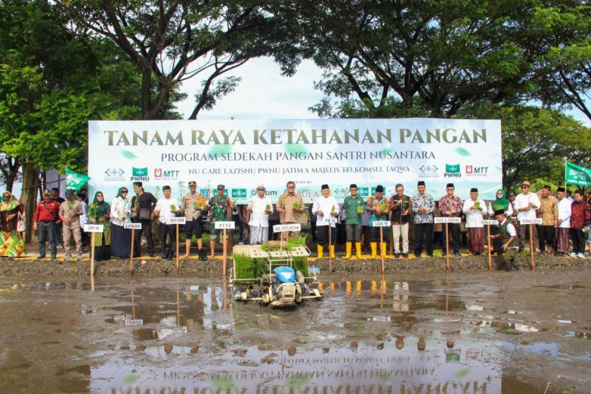 Optimalisasi zakat, Lazisnu Jatim inisiasi tanam raya padi di Jombang