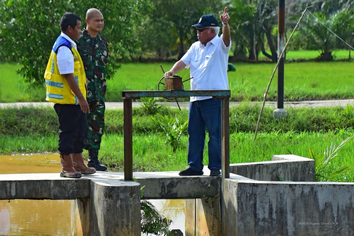 Kepala OIKN: Irigasi Rawa Sebakung dukung  swasembada pangan