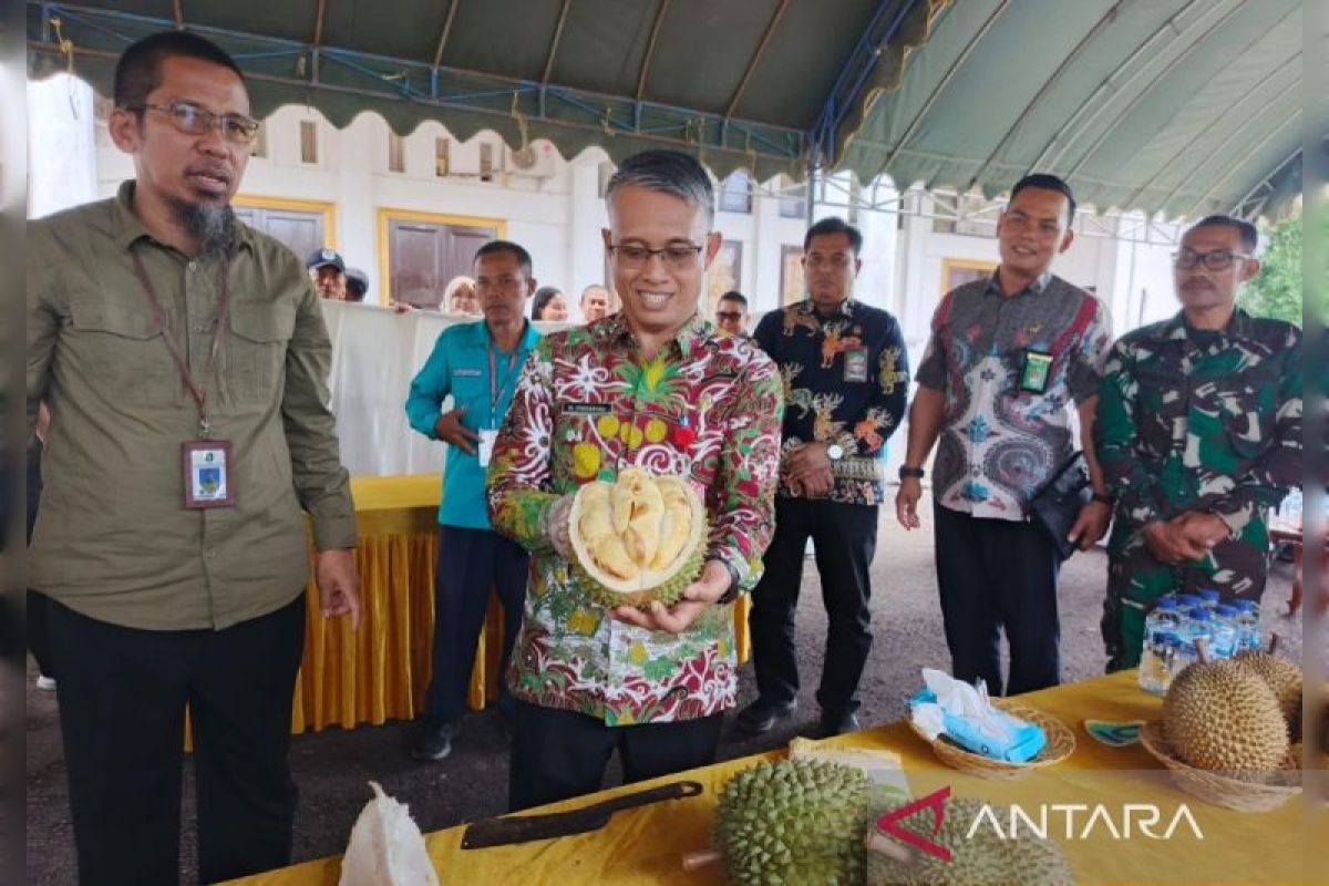 Temukan varietas unggul lokal, Pemkab Lamandau selenggarakan kontes durian