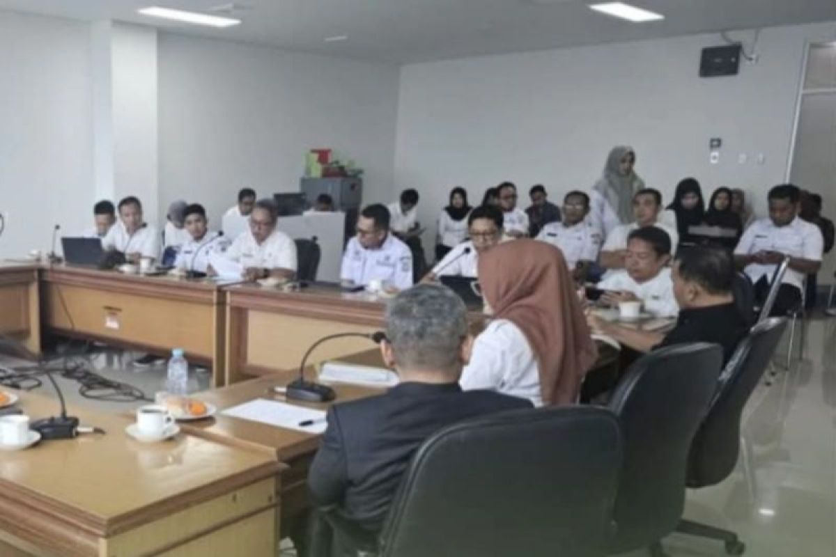 Pemprov Sulbar gandeng perusahaan Jepang tingkatkan SDM kesehatan