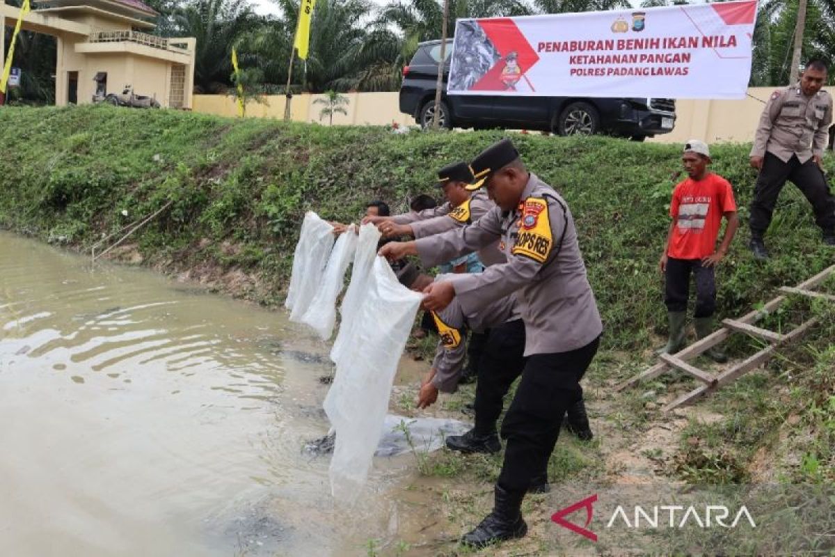 Polres Palas tabur ribuan benih bibit ikan Nila di kolam ketahanan pangan