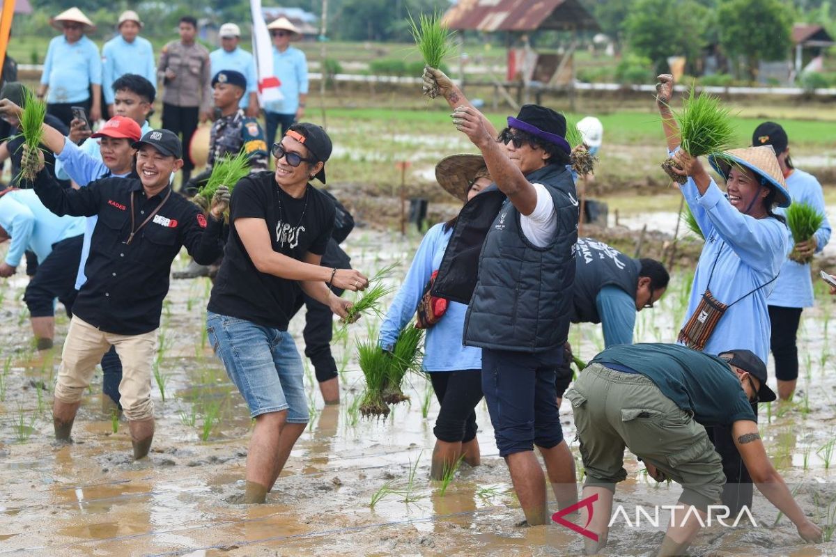 Gubernur Kaltim gandeng grup band Slank tanam padi di lahan bekas tambang