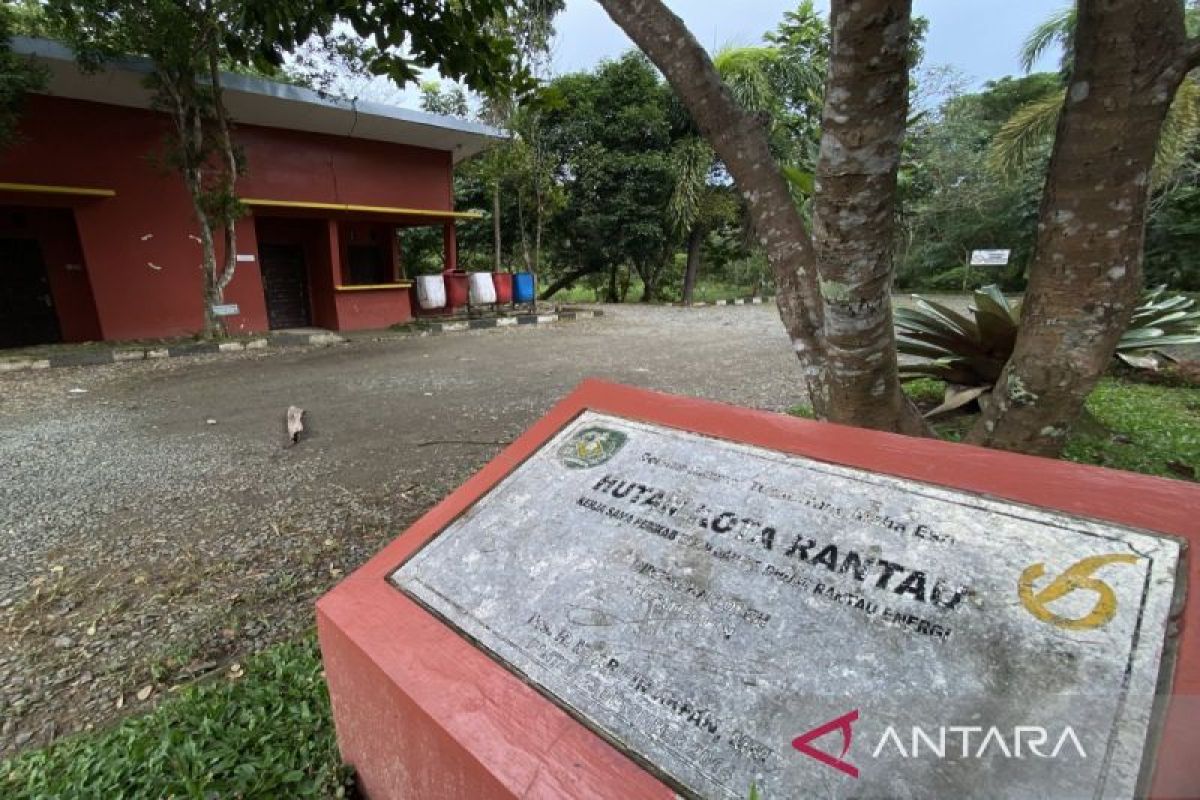 Tapin tata ulang Hutan Kota Rantau guna berikan nilai edukasi