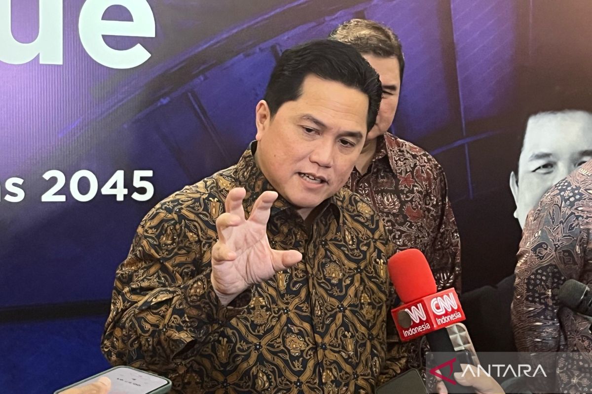 Erick Thohir: Merger Garuda dan Pelita masih dikaji