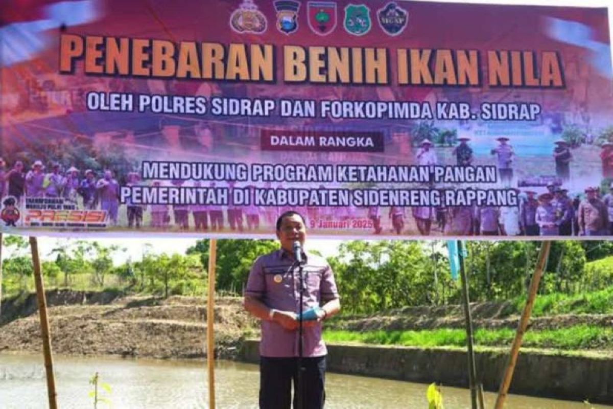 Pemkab Sidrap tabur 10 ribu benih ikan nila mendukung ketahanan pangan