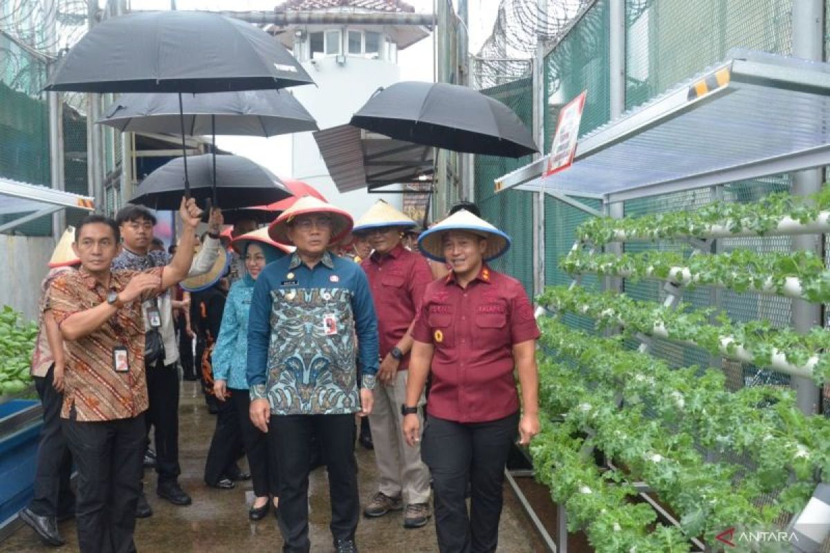 Pertanian perkotaan dikembangkan di Lapas Salemba