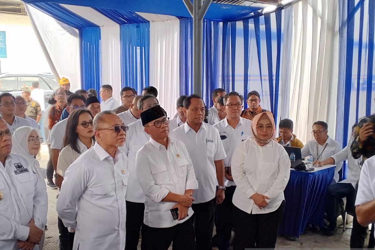 Menko Pangan: Kenaikan PPN berdampak ke harga pupuk