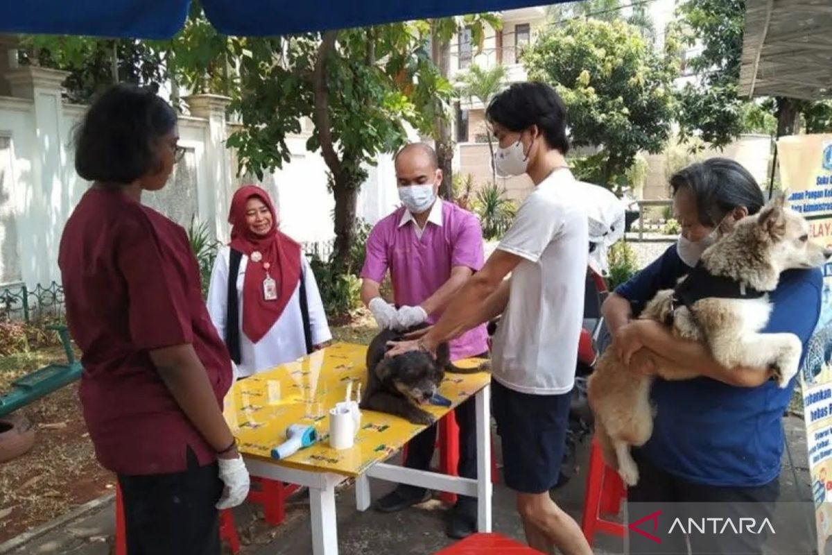 9.024 hewan divaksinasi anti rabies di Jakbar