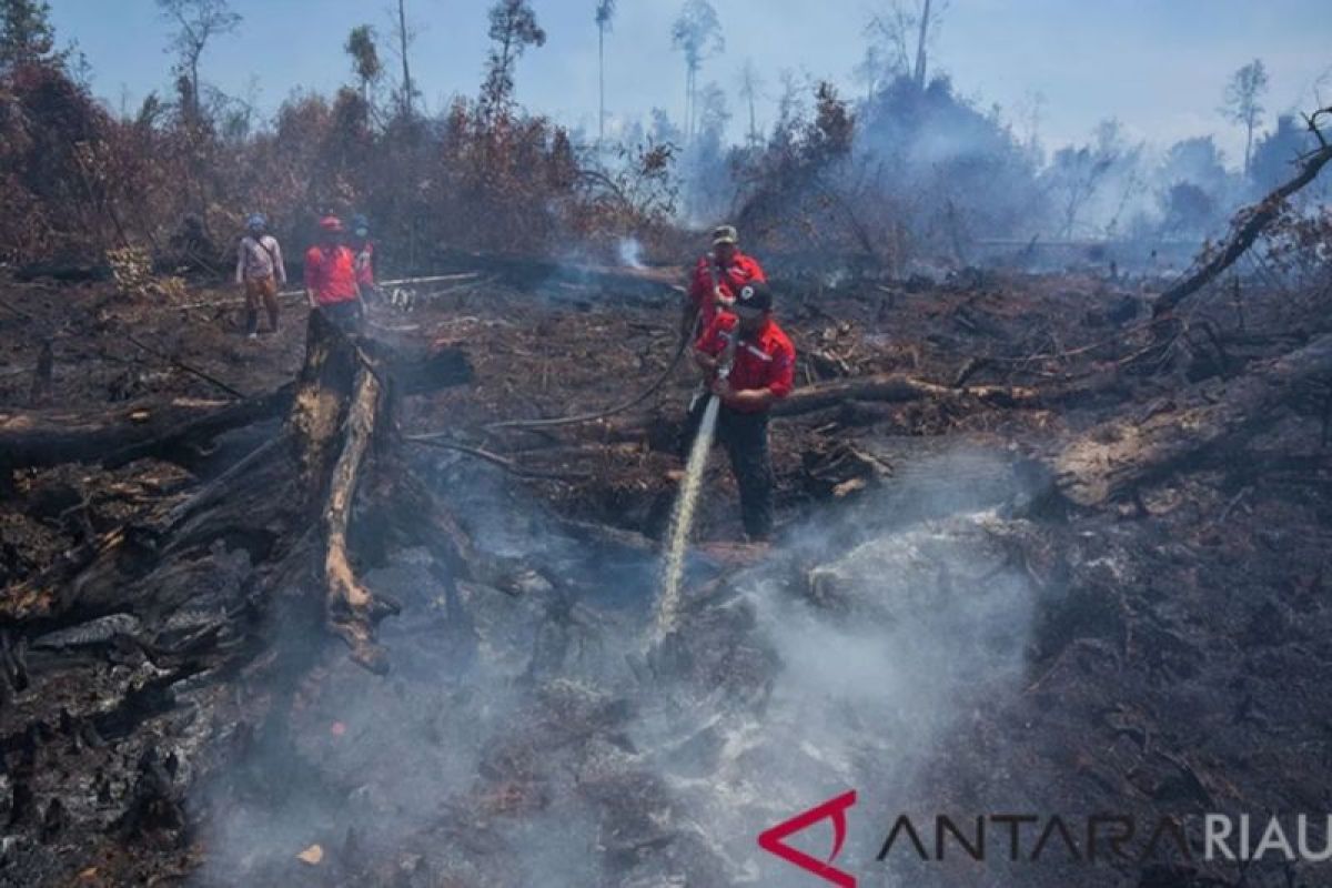 92 desa Siak terima anggaran cegah karhutla