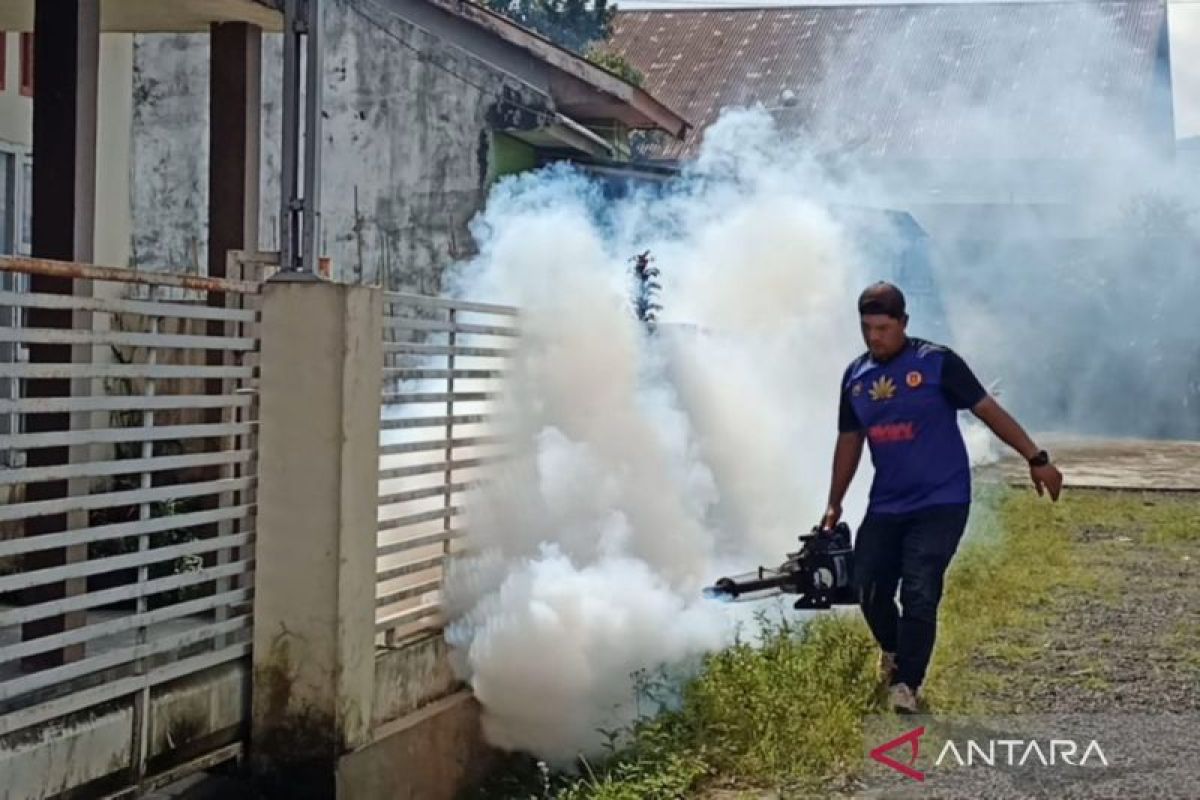 Warga Rejang Lebong terjangkit DBD pada 2024 mencapai 435 orang