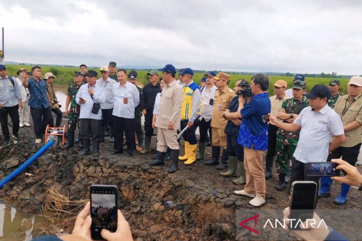 Kalsel cetak sawah di lahan yang puluhan tahun tidak pernah digarap