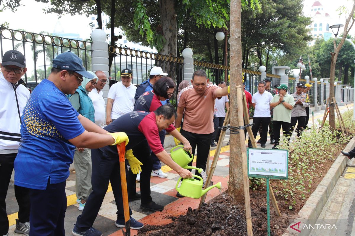 Jakpus tanam puluhan pohon tabebuya di sepanjang Jalan Senen Raya