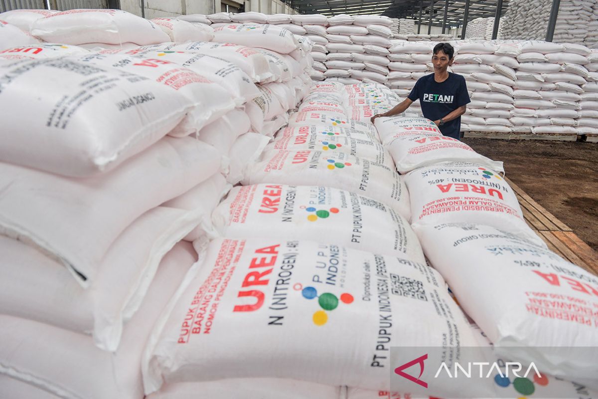 Serapan pupuk subsidi di Banten meningkat