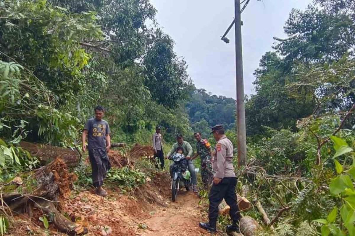 BPBD: Jalur Gayo Lues-Aceh Timur kembali normal