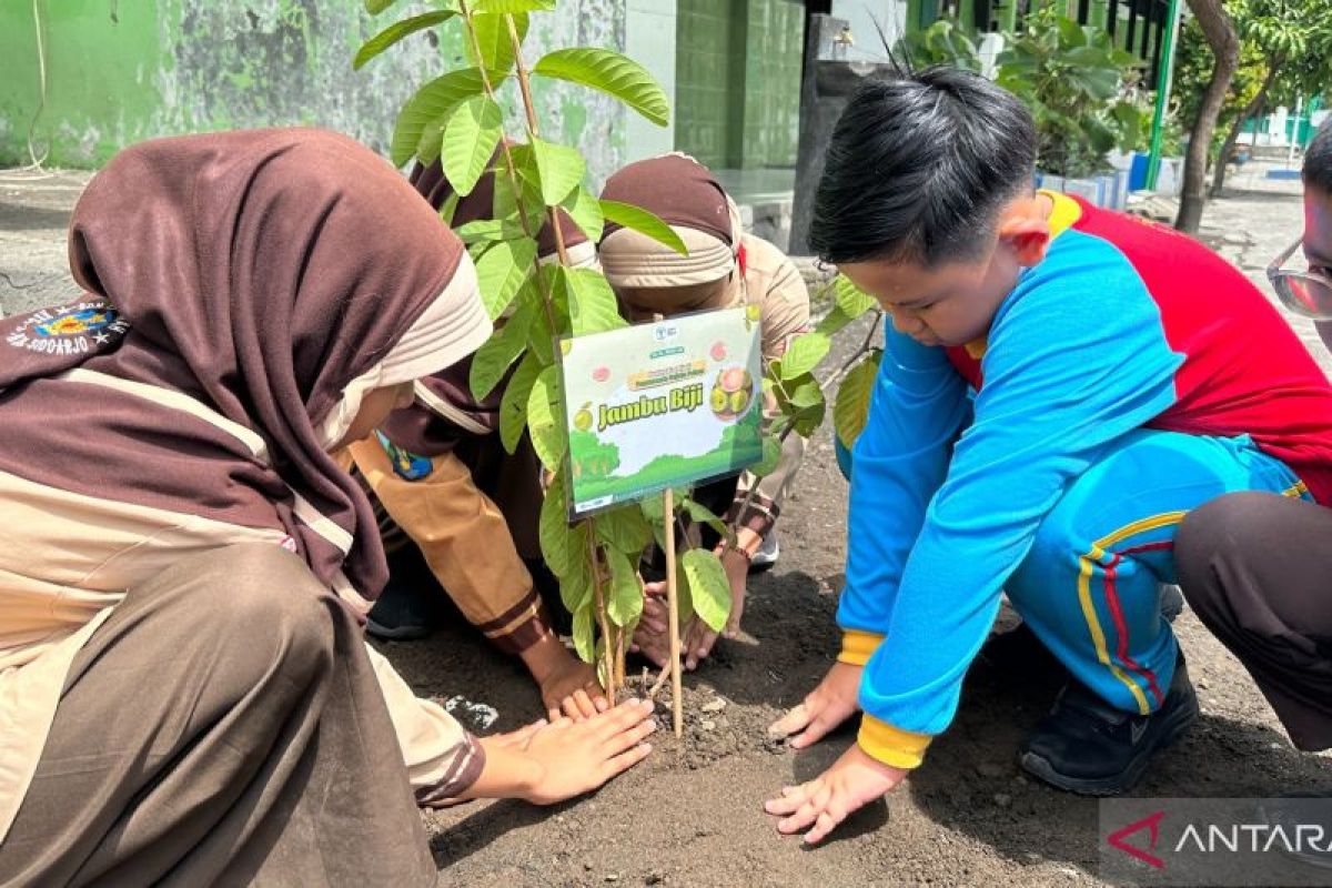 Peringati Gerakan Satu Juta Pohon, siswa SD Al Muslim lakukan penghijauan