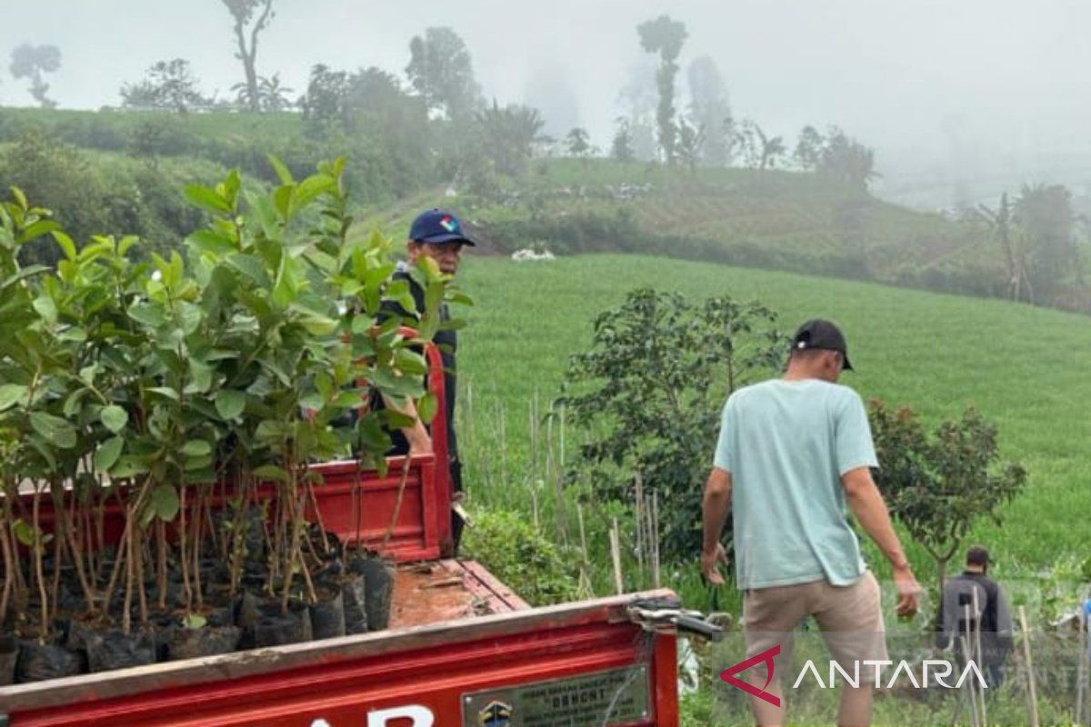 Temanggung tanam ribuan pohon dalam Gerakan Sejuta Pohon di 10 desa