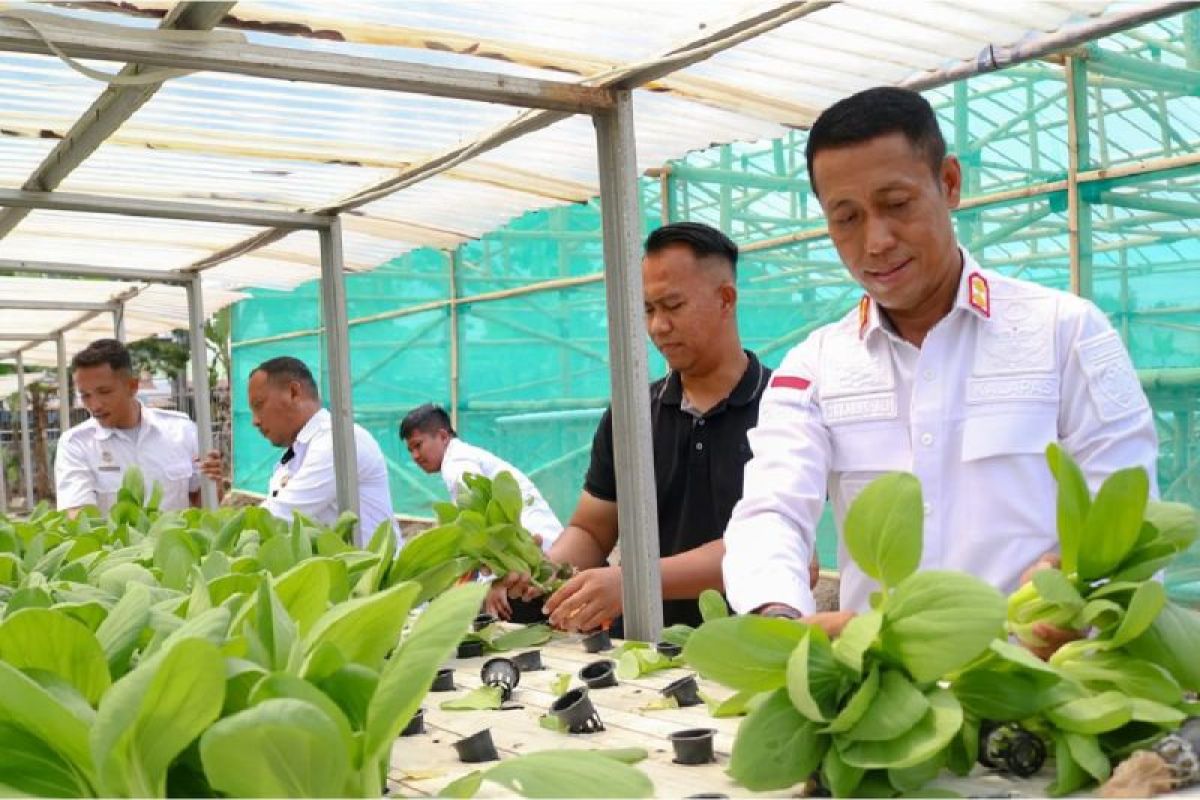 Kemenkumham Sumut galakkan tanam sayur di lapas, ini tujuannya