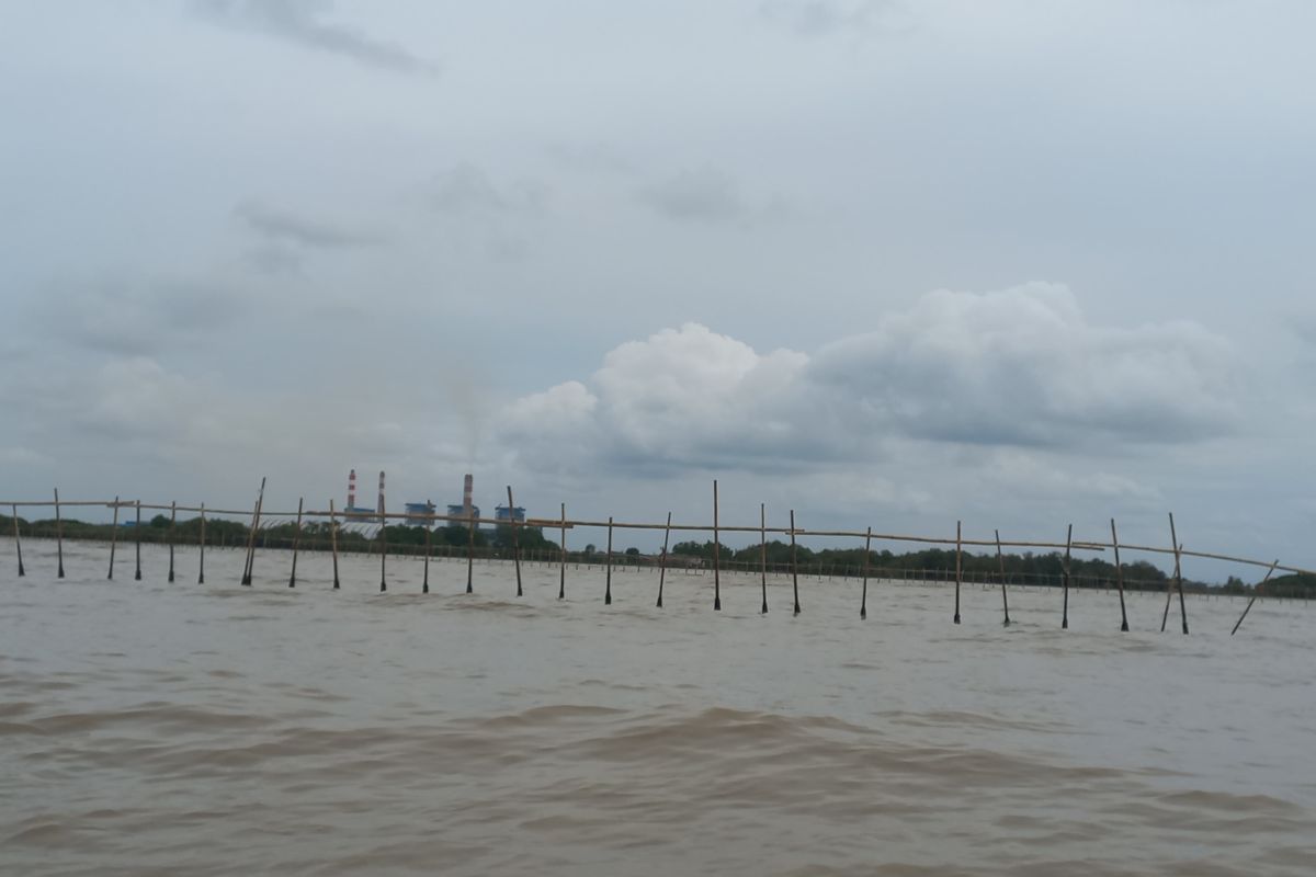 Pagar bambu sepanjang 30 Km di laut Pantura Tangerang diklaim untuk cegah abrasi