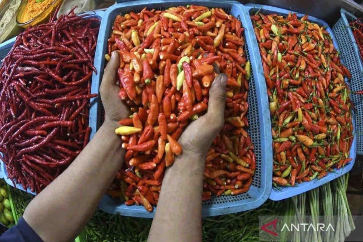 Harga pangan hari ini turun: Cabai rawit merah Rp70.730 per kg