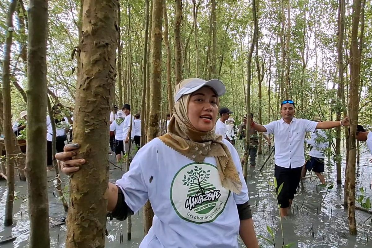 DPR RI meminta pelestarian kukang Lampung jadi atensi