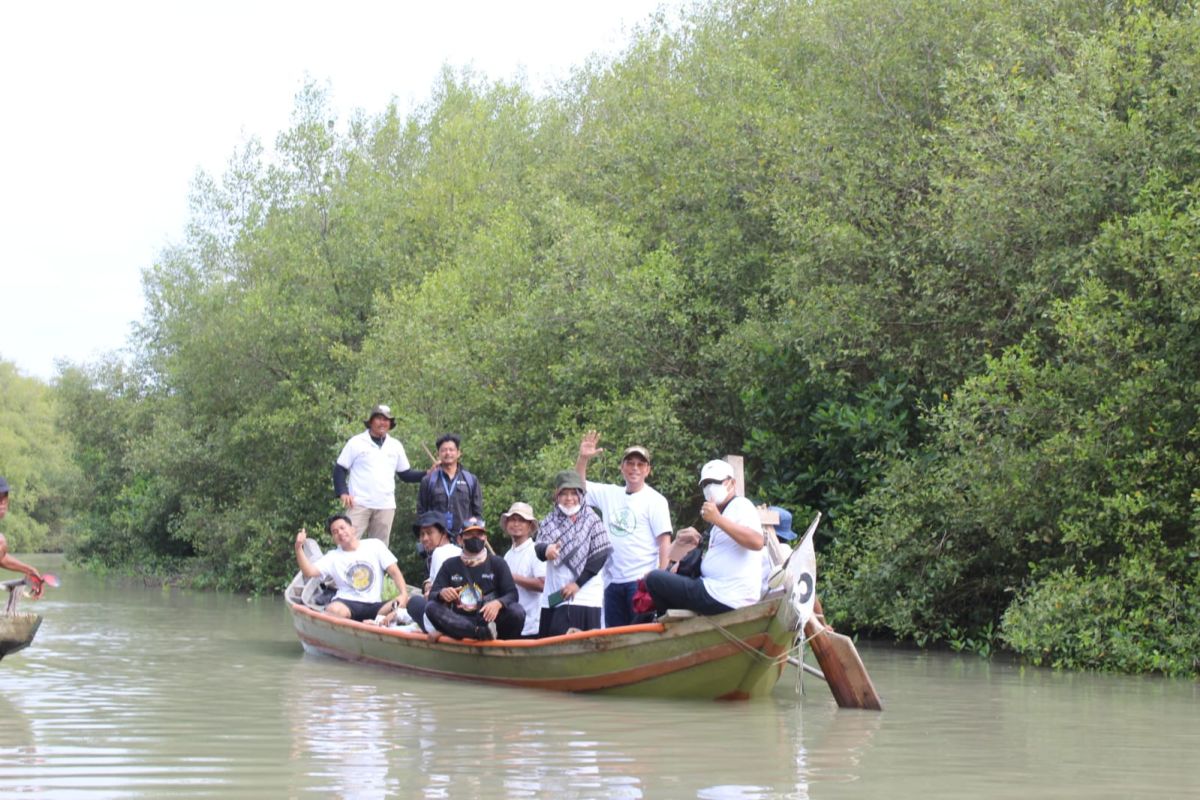 Jihan Nurlela: Perlu revitalisasi mangrove maksimalkan eco wisata