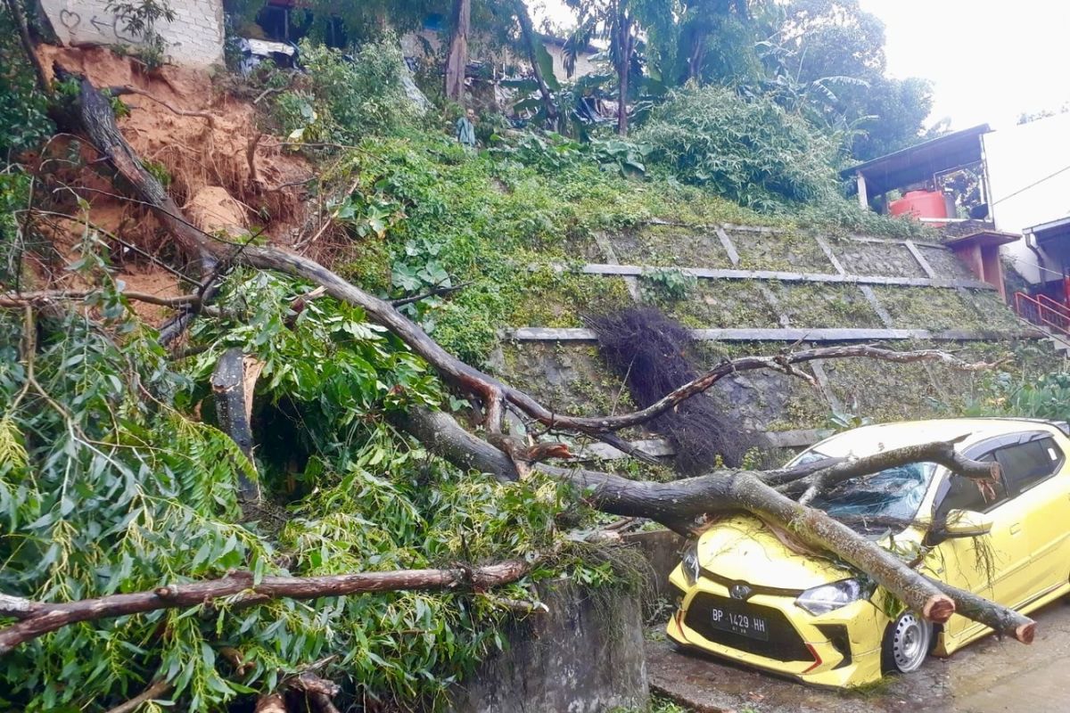 Damkar Batam amankan tanah longsor penyebab pohon tumbang