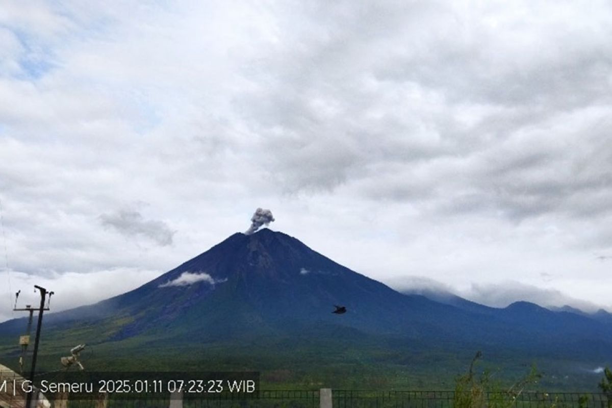 Semeru kembali erupsi, letusan setinggi 600 meter