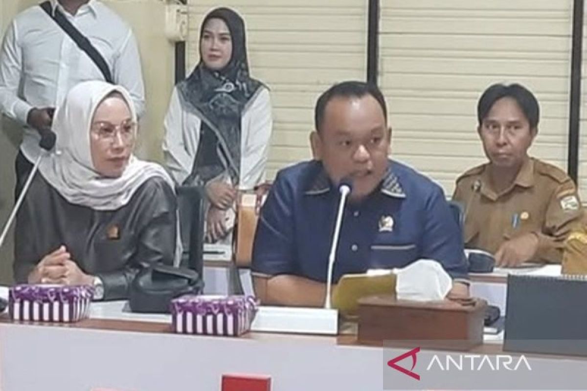 Wakil ketua DPRD Kotabaru RDP dengan Papdesi