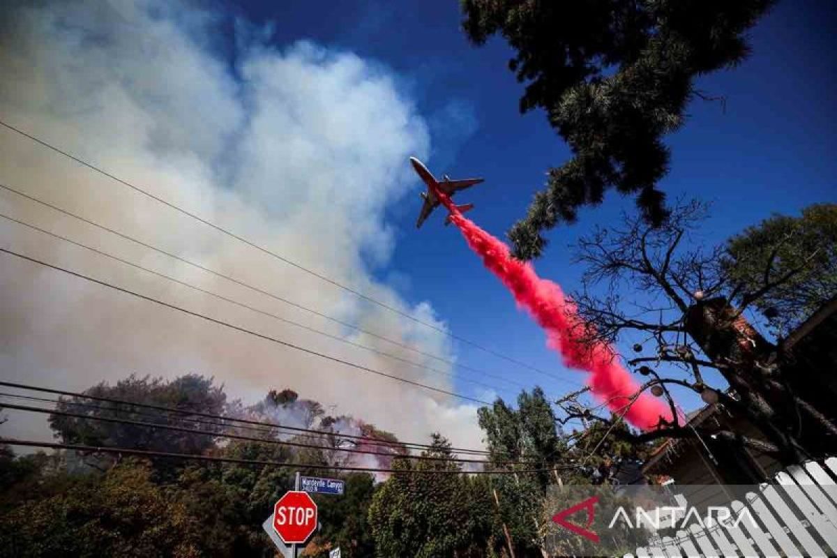 Korban tewas akibat kebakaran hutan di Los Angeles bertambah jadi 24 orang