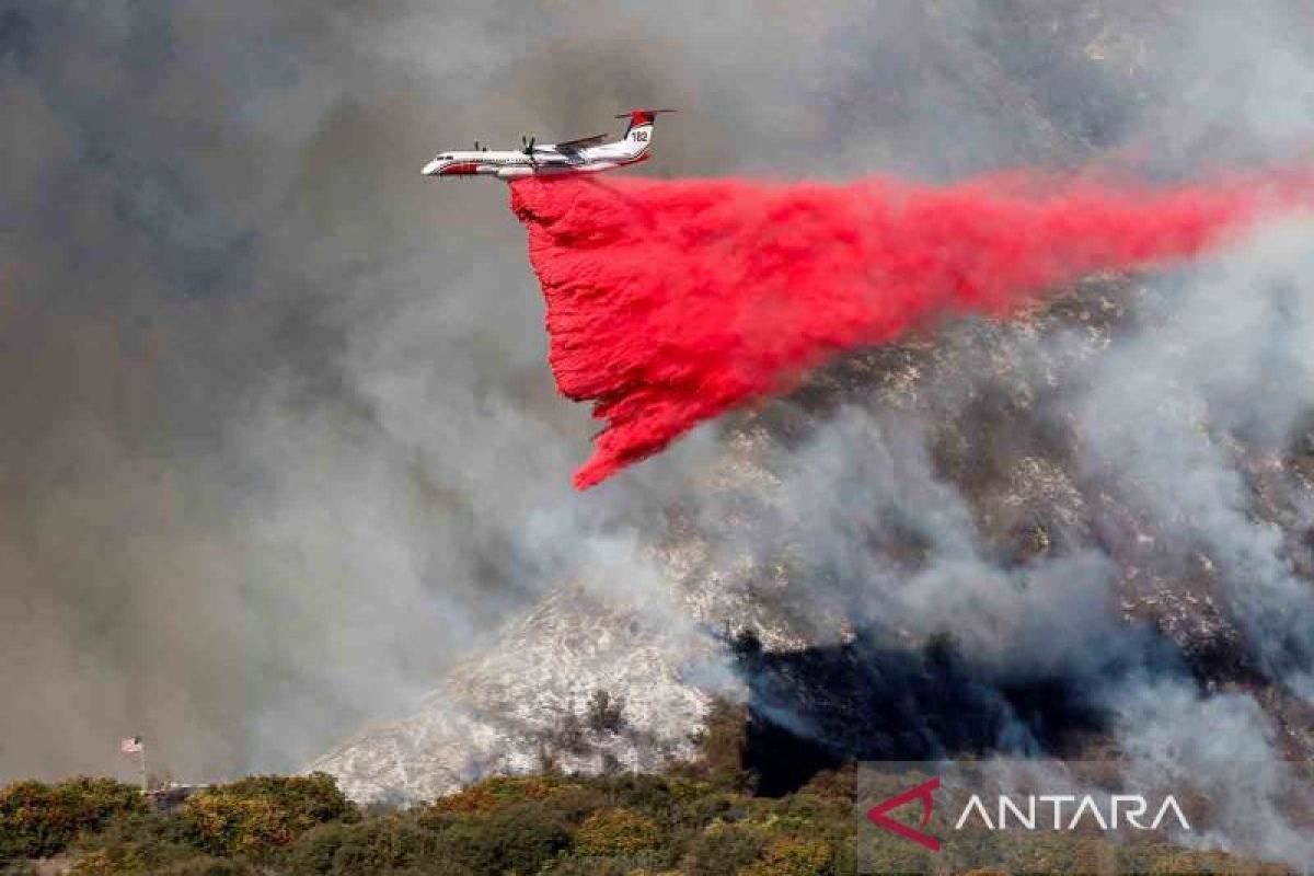 Jumlah korban tewas akibat kebakaran hutan Los Angeles AS jadi 13 orang