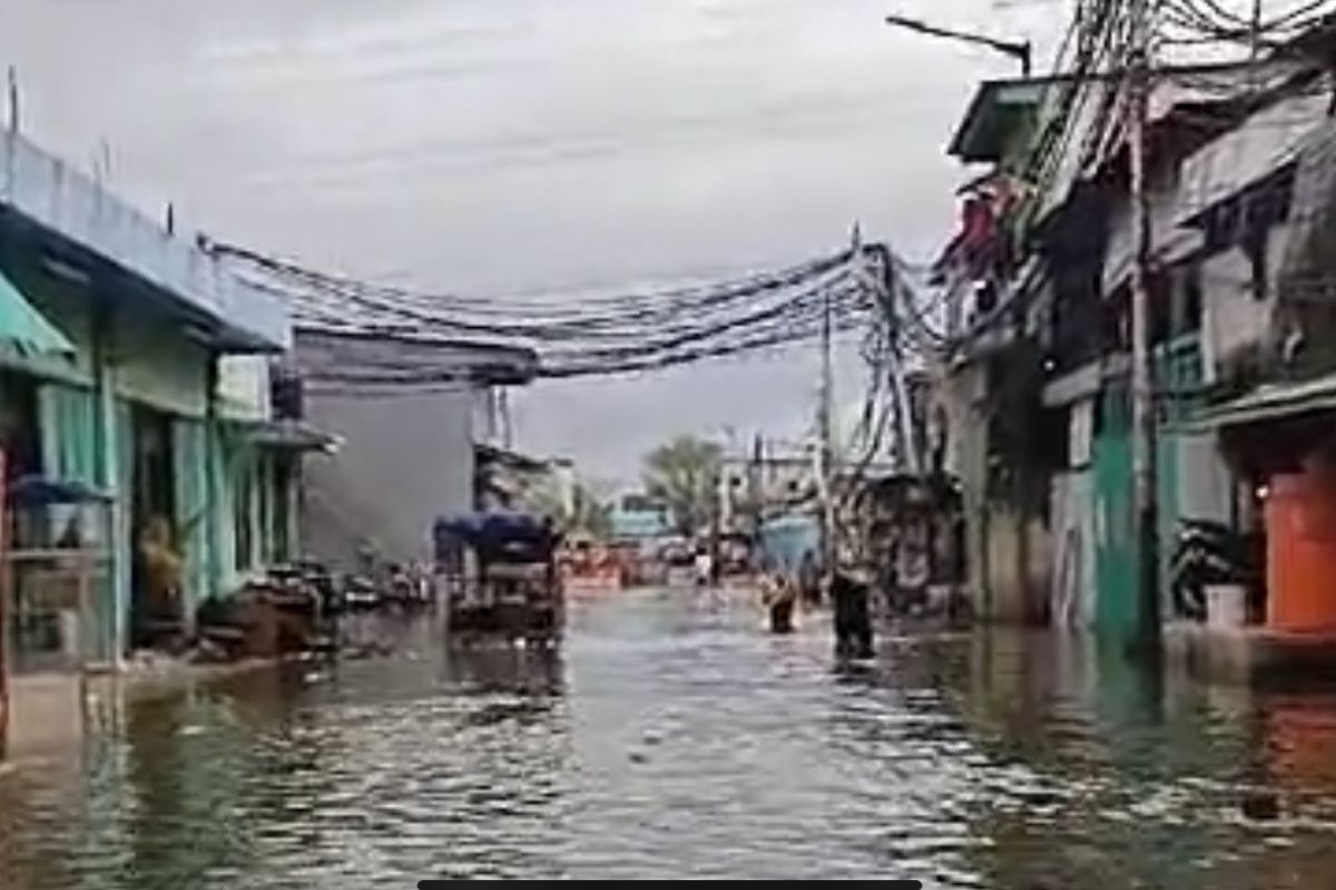 BPBD DKI: Ketinggian banjir rob rendam pemukiman hingga 60 cm