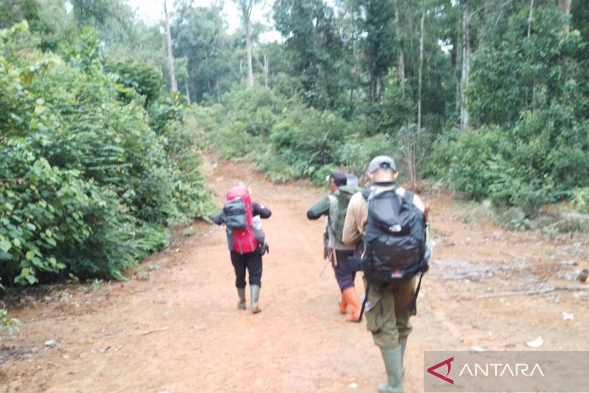 KPH Mukomuko gelar patroli cegah perambahan hutan