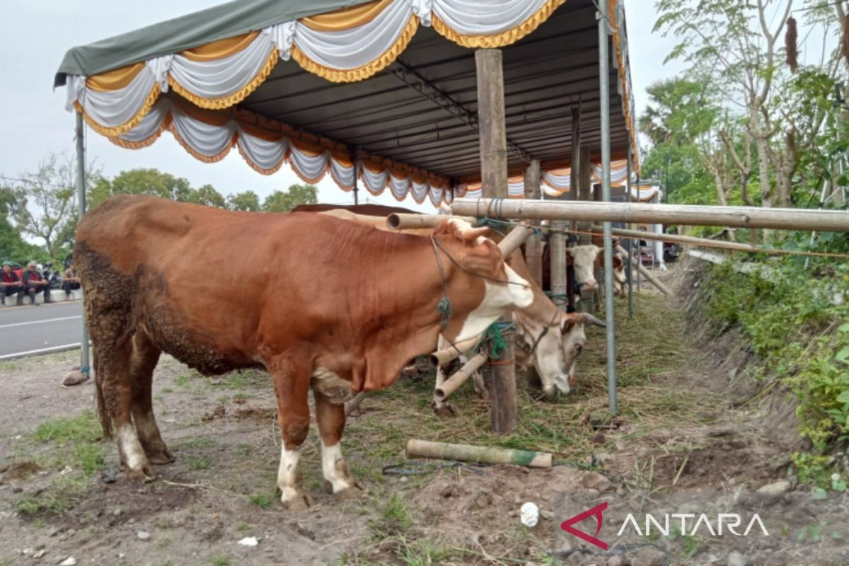 Bantul memantau keluar masuk ternak cegah penularan PMK semakin meluas