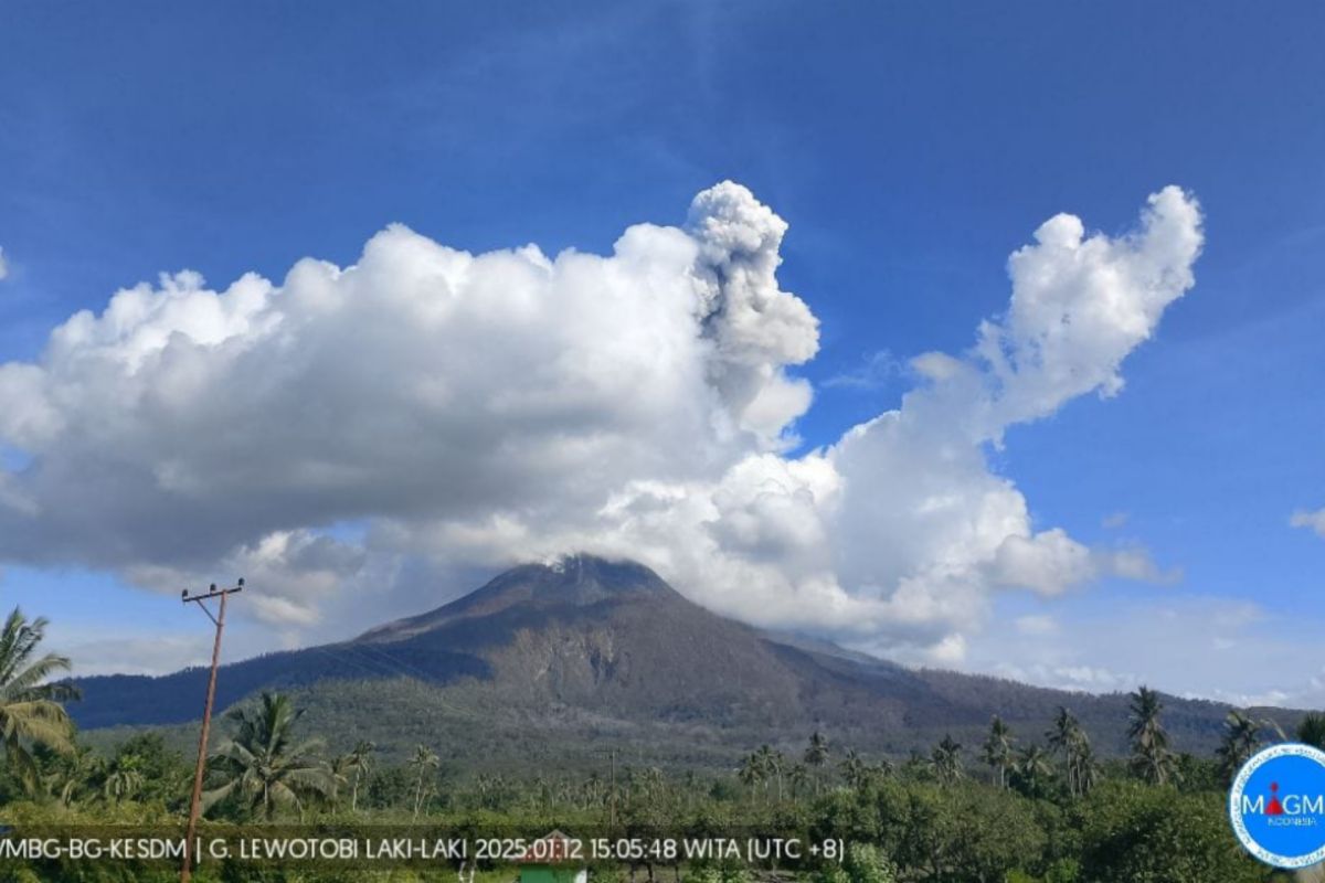 Gunung Lewotobi Laki-laki kembali erupsi dua kali pada Minggu